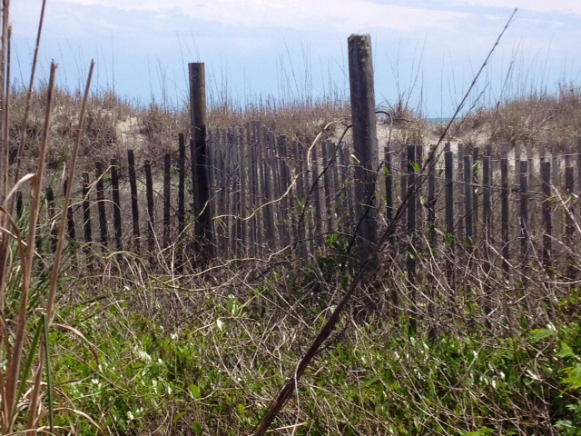 Coastal Caterers Charleston SC