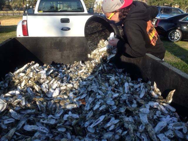 Oyster Shell Recycling