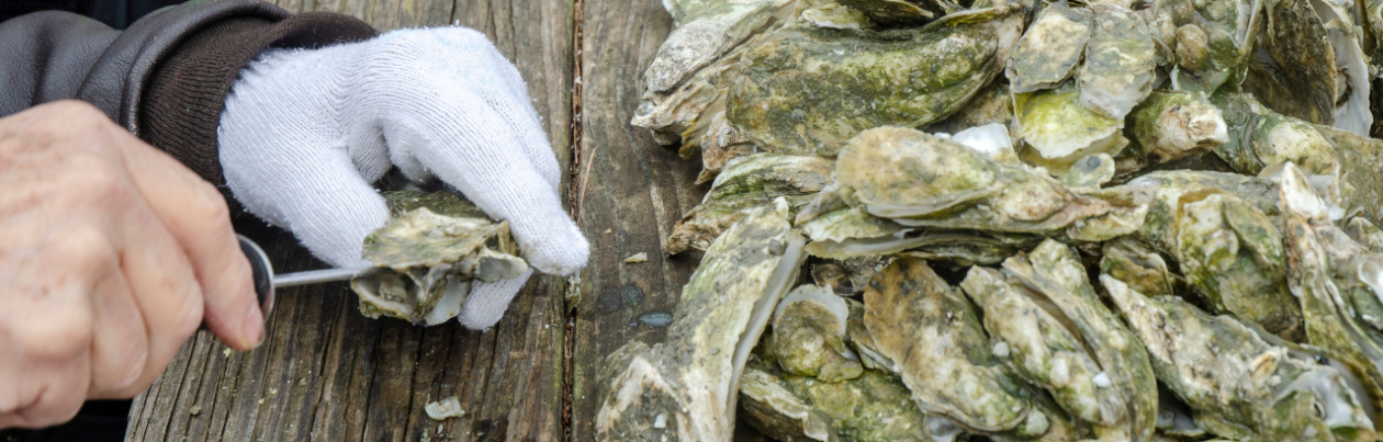 Charleston Oyster Roast Catering 