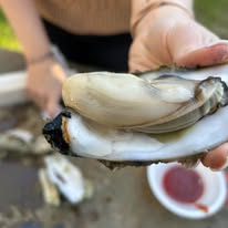 Oyster Roasts. Do It Yourself Oyster Roasts