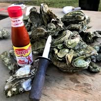 Charleston Oyster Roast Catering