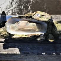 Oyster Roasters